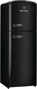 Холодильник ROSENLEW rt 291 noir (черный)