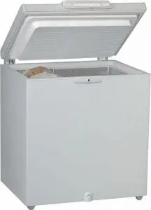 Морозильная камера WHIRLPOOL WH 2010 A+E FO
