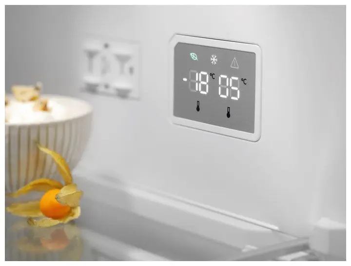 Холодильник ELECTROLUX RNT7ME34G1 — фото