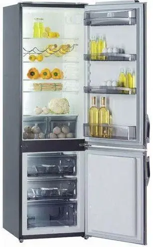 Холодильник GORENJE rk41200e — фото