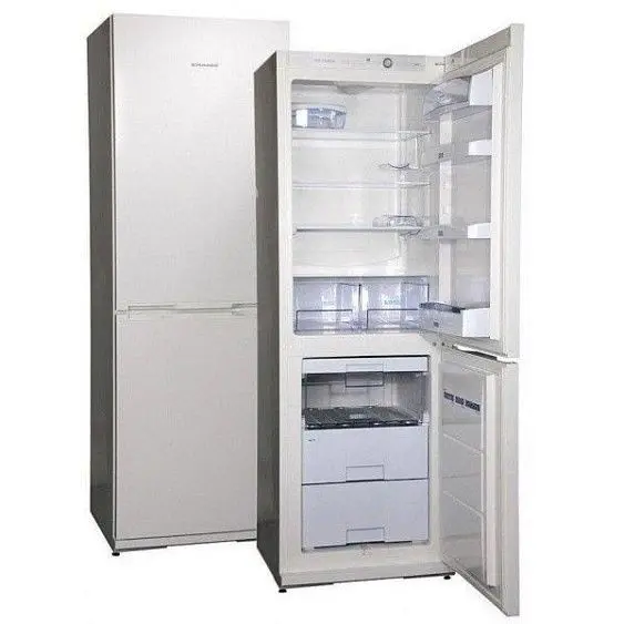Холодильник Snaige RF 31SM-S100210 — фото