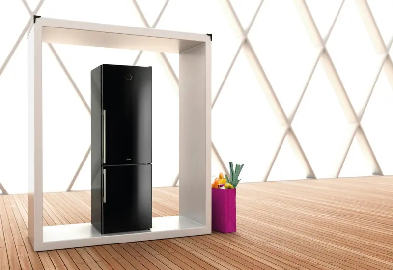 Холодильник GORENJE nrk 61 jsy2b — фото