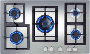 Варочная поверхность TEKA EFX 90 5G