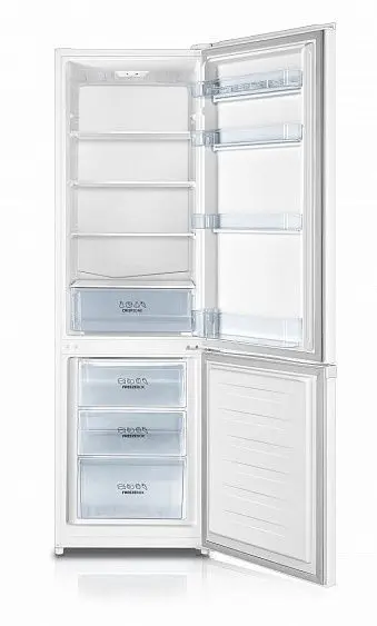 Холодильник GORENJE RK4181PW4 — фото