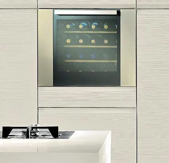 Винный шкаф INDEL B BUILTIN 24 Homme Plus — фото