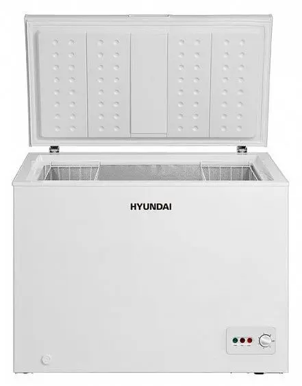 Морозильный ларь HYUNDAI CH2505 — фото
