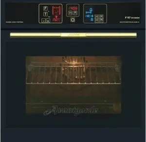 Духовой шкаф KAISER eh 6905 gold