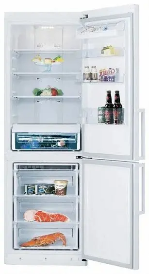 Холодильник SAMSUNG rl46recsw1 — фото