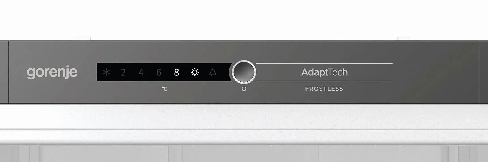 Холодильник GORENJE RKI2181A1 — фото