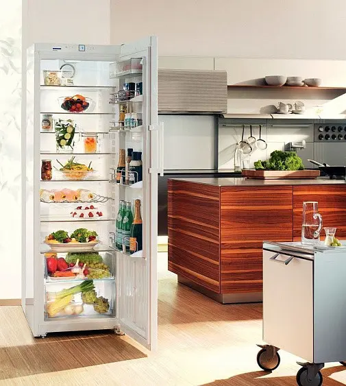 Холодильник LIEBHERR k 4270-22 001 — фото