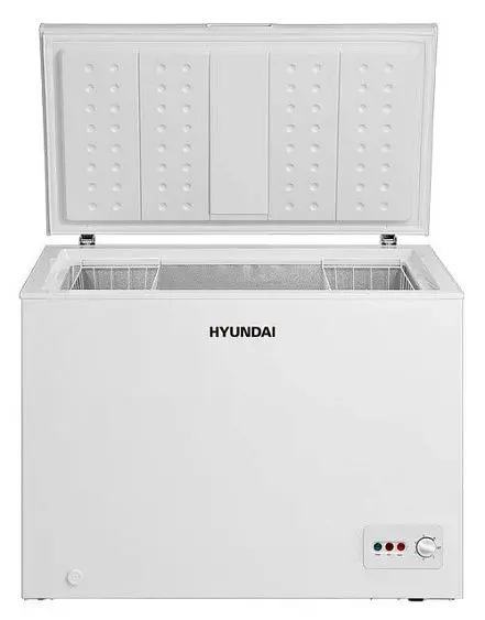 Морозильный ларь HYUNDAI CH2505 — фото