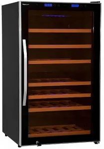 Винный шкаф WINE CRAFT BC-66BZ Grand Cru