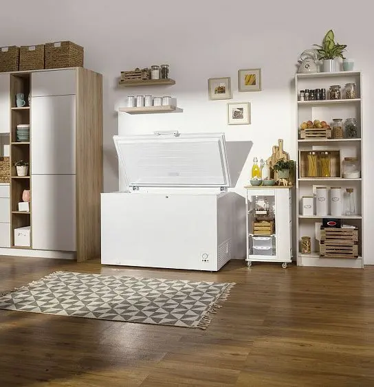 Морозильник-ларь GORENJE FH401CW — фото