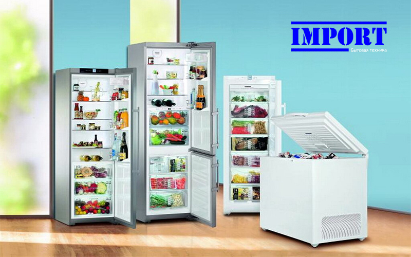 Холодильник или морозильная камера: что выгоднее для большой семьи? Холодильник или морозильная камера: что выгоднее для большой семьи?