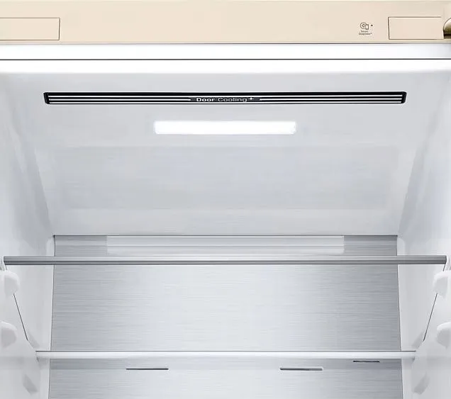 Холодильник LG GC-B509FEPW