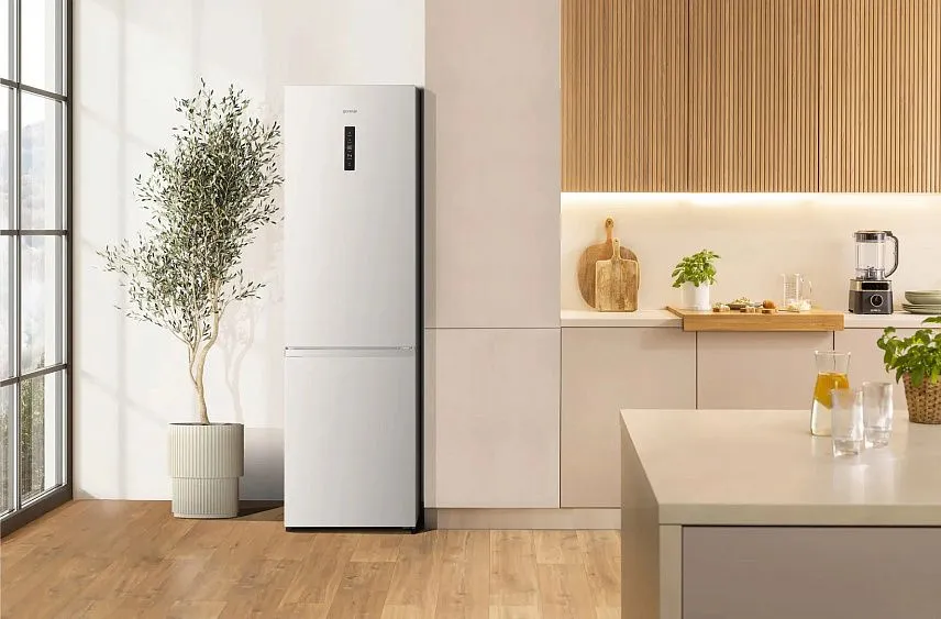 Холодильник GORENJE NRK620161W4I — фото