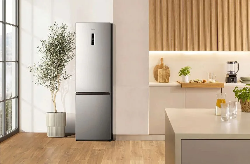 Холодильник GORENJE NRK620161X4I — фото