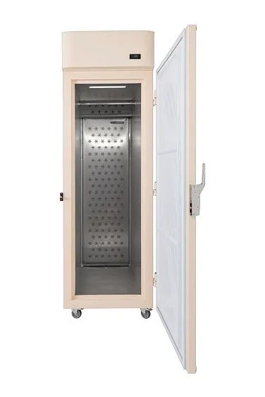 Холодильник для хранения шуб GRAUDE PK 70.0 B