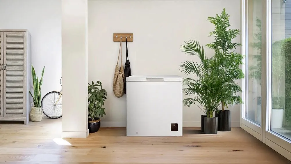 Морозильный ларь GORENJE FHC2516W5