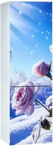 Холодильник ОРСК 175 B Glass ROSE