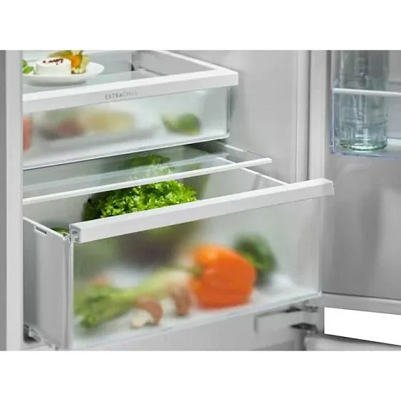 Холодильник ELECTROLUX E6MNCE19S