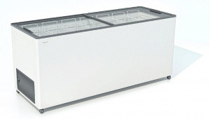 Морозильный ларь FROSTOR F 600 С