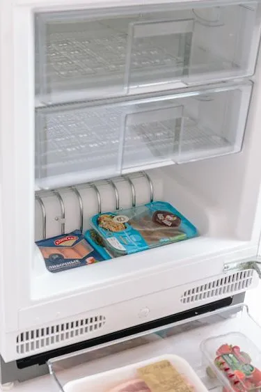 Морозильная камера SCANDILUX FSBI107