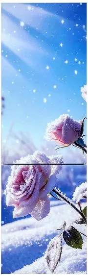 Холодильник ОРСК 175 B Glass ROSE