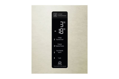 Холодильник LG GC-B569PECZ