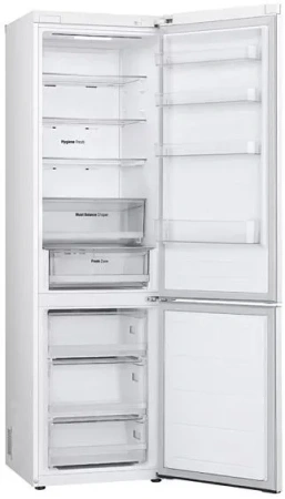 Холодильник LG GC-B509FQQW