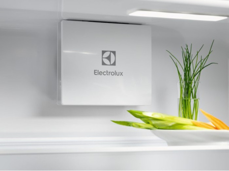 Холодильник ELECTROLUX LND5FE18S