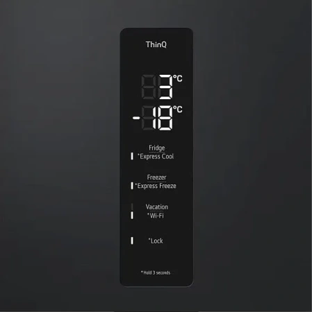Холодильник LG GC-B509FTZW