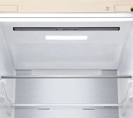 Холодильник LG GC-B509FEPW