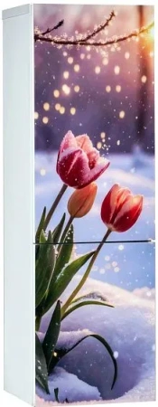 Холодильник ОРСК 175 B Glass TYLPAN