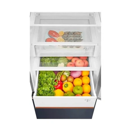 Холодильник TOSHIBA GR-RB572WI-PMJ (51)