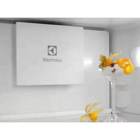 Холодильник ELECTROLUX E6MNCE19S