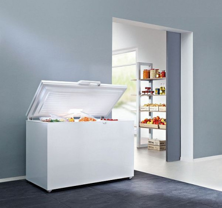 Морозильник LIEBHERR gtp 2756-22 001