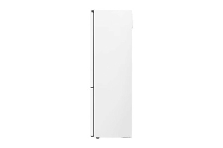 Холодильник LG GB-B72SWDMN