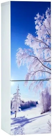 Холодильник ОРСК 175 B Glass ZIMA