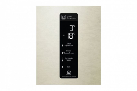 Холодильник LG GC-B569PECZ