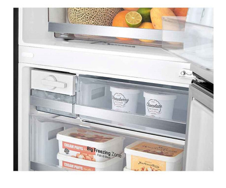 Холодильник LG GC-F569PBAM