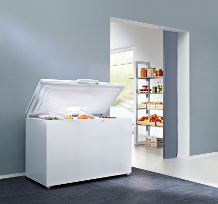 Морозильник GORENJE fh 21 bw