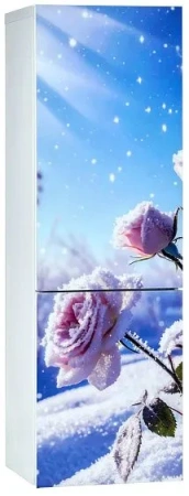 Холодильник ОРСК 177 B Glass ROSE — фото