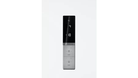 Холодильник BOSCH KGE39XW2AR