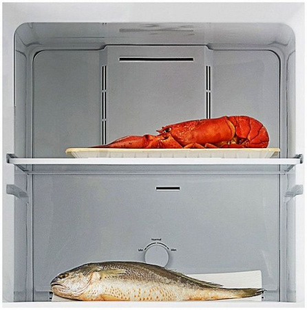 Холодильник Zarget ZRT 245NFW