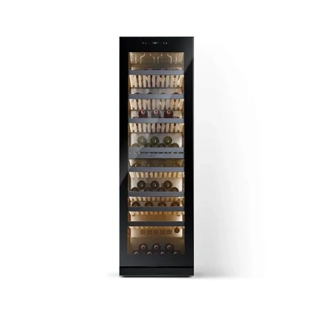 Винный шкаф CASARTE CASWS170GDAI