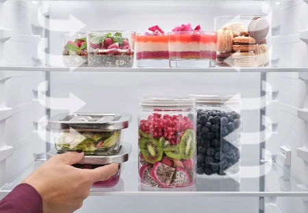 Холодильник AEG TC6MS18FDS