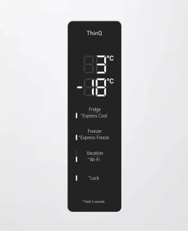 Холодильник LG GC-B509FQQW