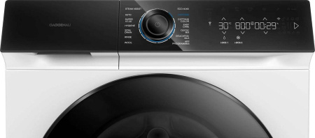 Стиральная машина GAGGENAU WM260165