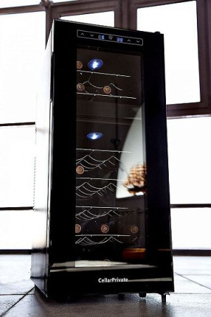 Винный шкаф CELLAR PRIVATE CP021-2T